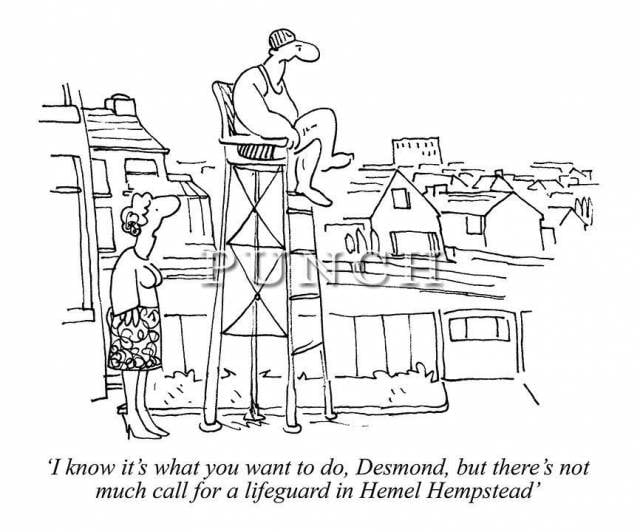 5. Sertifika alırsınız.