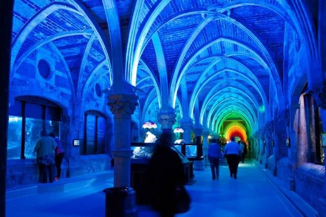 9. Sea Life Centre Akvaryumu