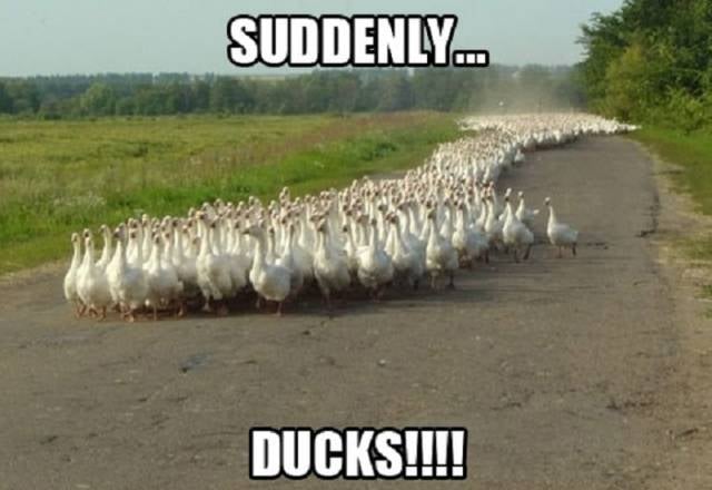 4. Ücretsiz servis için izdiham yaşayabilirsiniz.