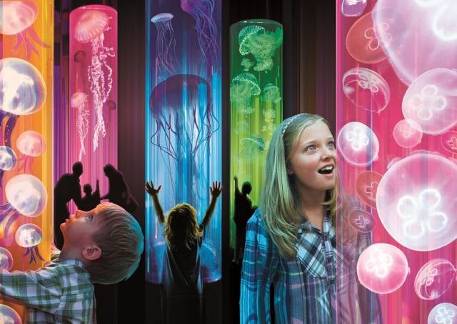 7. Brighton Sealine Center'da su altı dünyasını keşfedin.