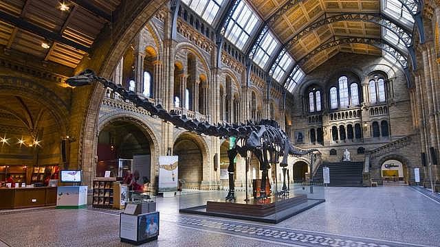 7. Natural History Museum