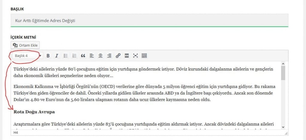 5. İçindekiler (Table of Contents) kullanın.