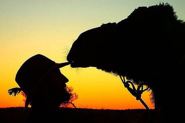 11. Sıkılmadan maceradan maceraya atlarsınız.