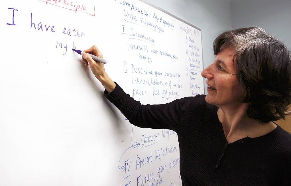 6. Eğitim seçenekleri çeşitlidir.