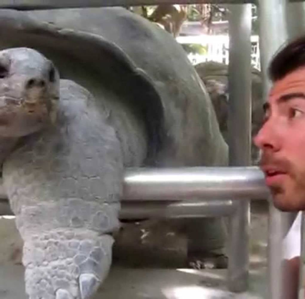 Amerika'da WAT Yapan Öğrencinin Dolu Dolu Geçirdiği Bir Yaz Macerası