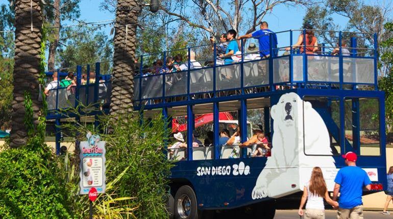 6. San Diego Zoo'da safari turu yapabilirsiniz.