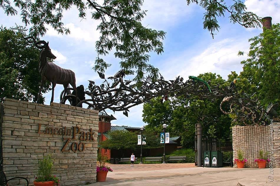 9. Lincoln Park Zoo