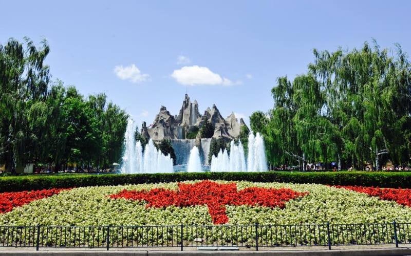 1. Nasıl başladı?