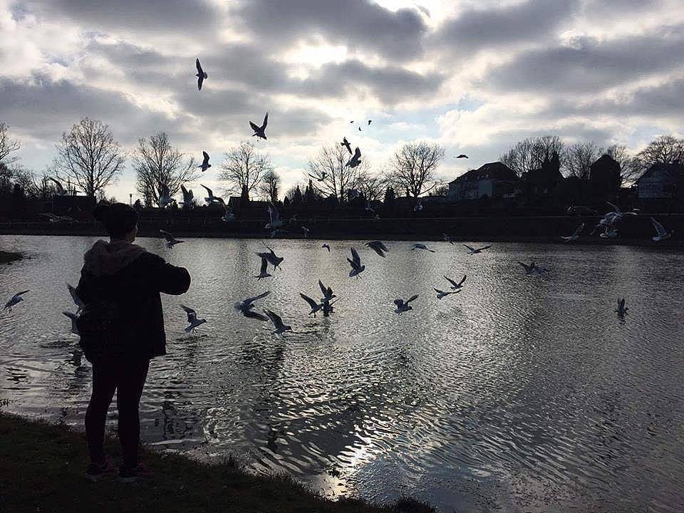 57. Martıları beslemek.