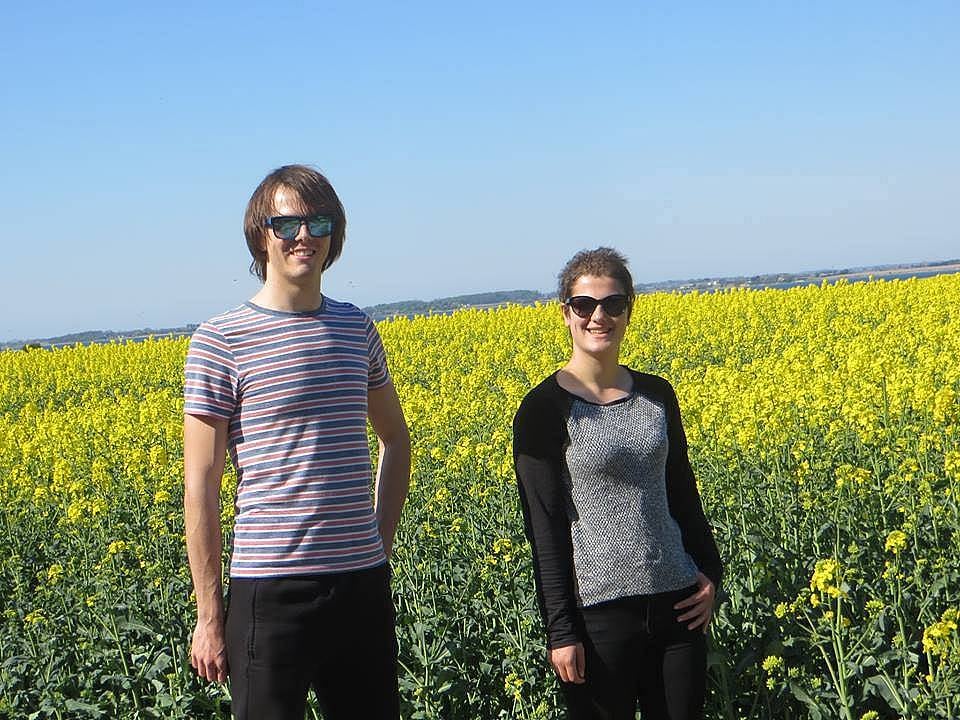 59. Kanola tarlaları büyüleyiciydi.