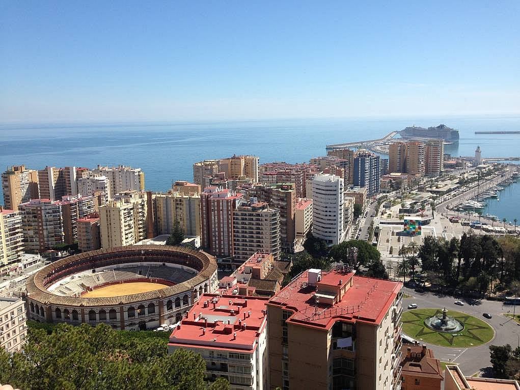 6. Amigos (arkadaşlar)