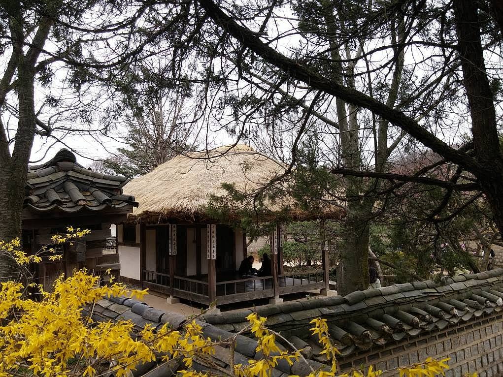 Güney Kore Günlüğü: Bilinmeyen Rotalarda Farklı Bir Deneyim