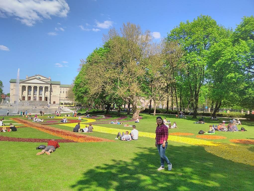 2. ''O kadar yer var neden Polonya?'' dediğinizi duyar gibiyim.