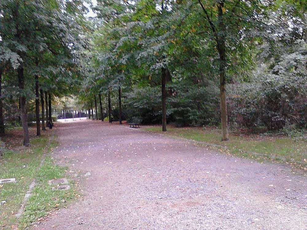 13. Hem büyükşehir hem her yeri yemyeşil.