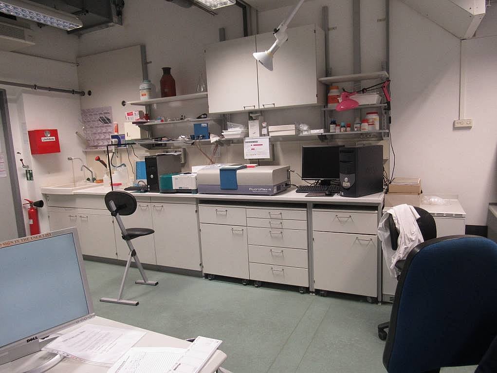 4. Max Planck Enstitüsü’nde staj yapmak.