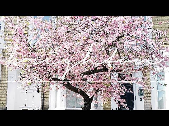 Londra ve Brighton Seyahati – Vlog 2