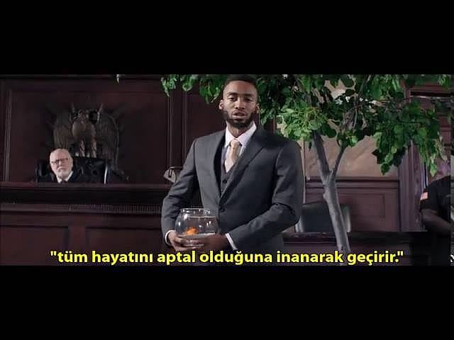 Eğitim Sistemine Mükemmel Bir Eleştiri