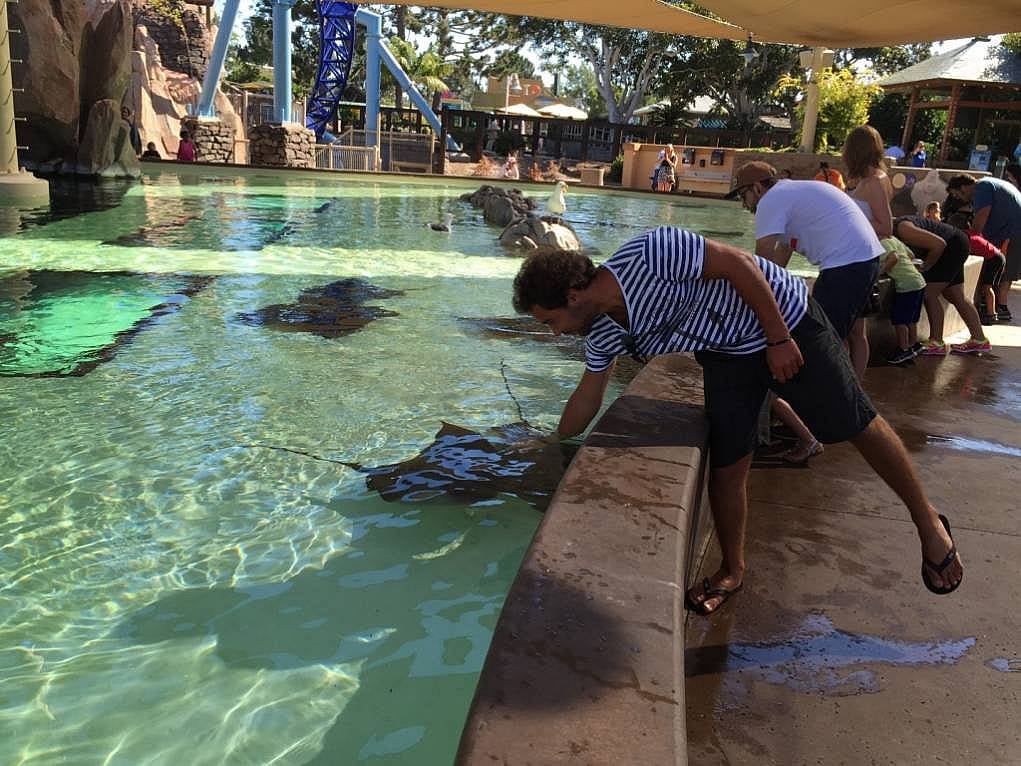 17. San Diego'daki Sea World görülmeye değer bir yer.