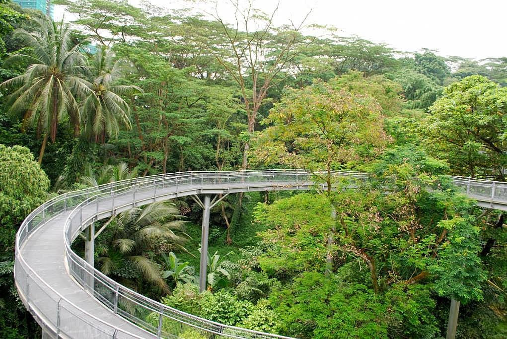 5. Southern Ridges'da yürüme keyfine varın.