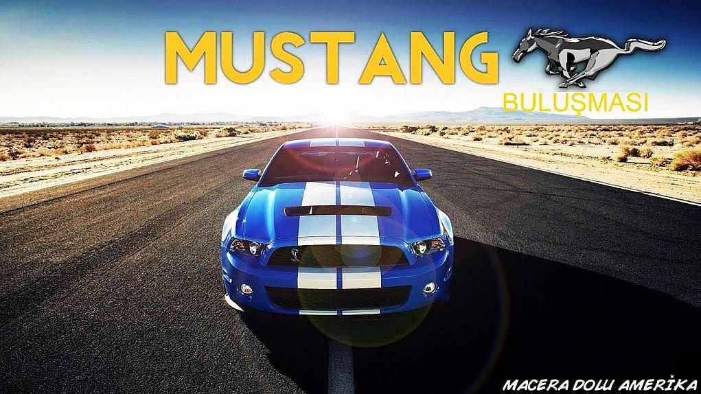 Los Angeles Mustang Buluşması - Amerikan Kası