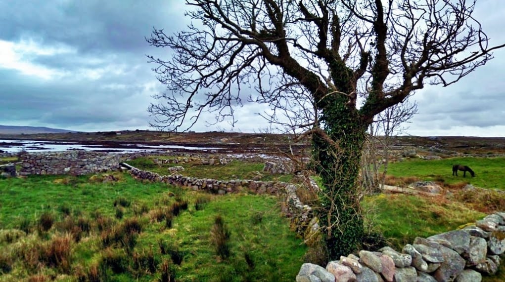 5. Muckanaghederdauhaulia, İrlanda'nın en uzun isme sahip yeridir.