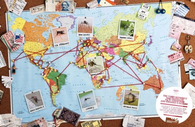 4. Farklı kültürler tanır, yeni yerler görürsünüz.