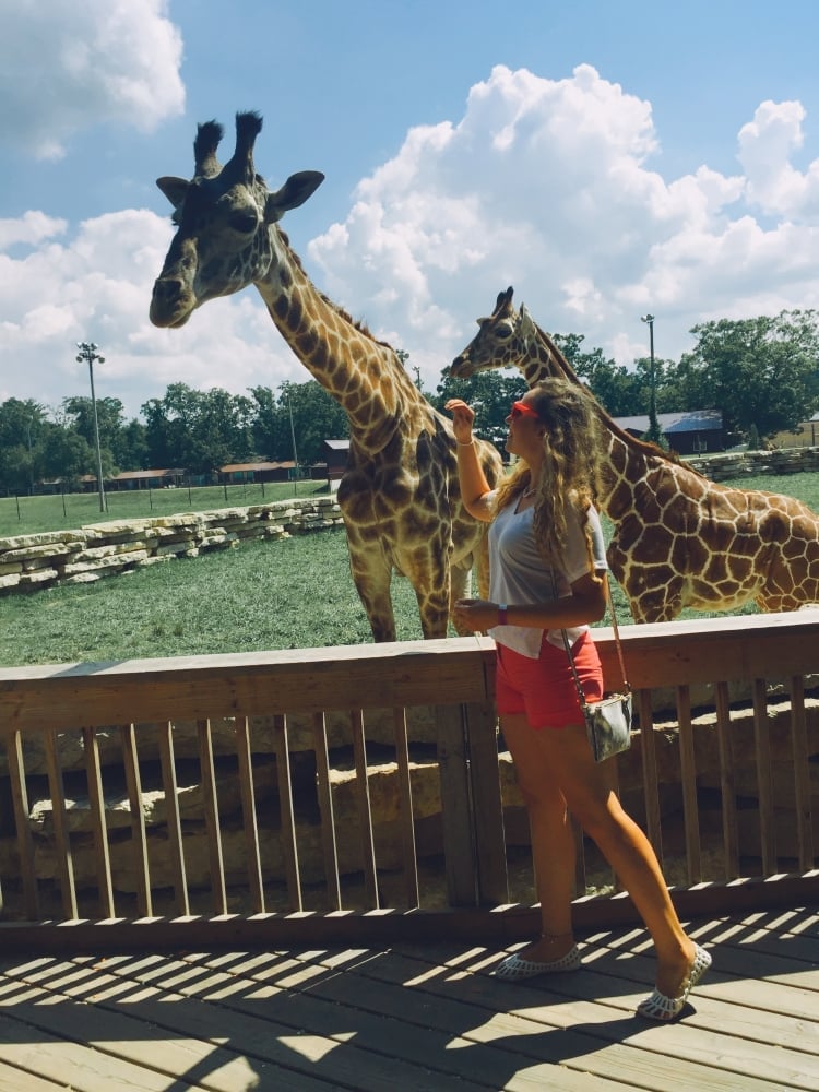 1. Neden ille de Wisconsin Dells?