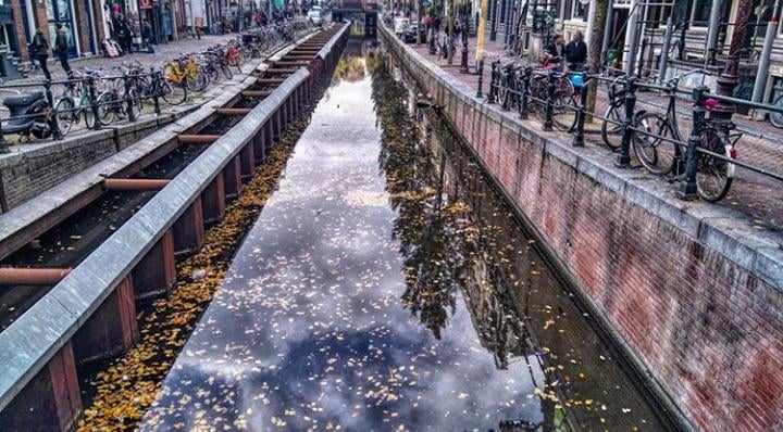 5. Hollanda desem bize neler söyleyebilirsin ?