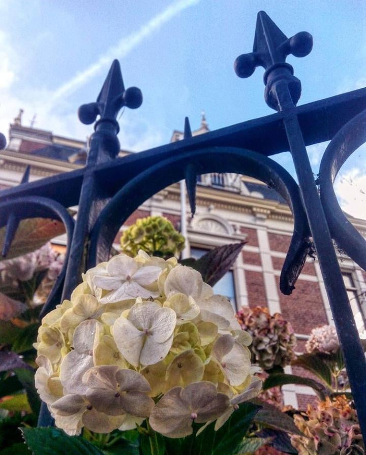 1. Erasmus yapmaya nasıl karar verdin ?