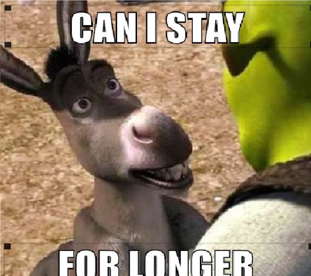 4. Keşke daha uzun süreli kalabilseydim!