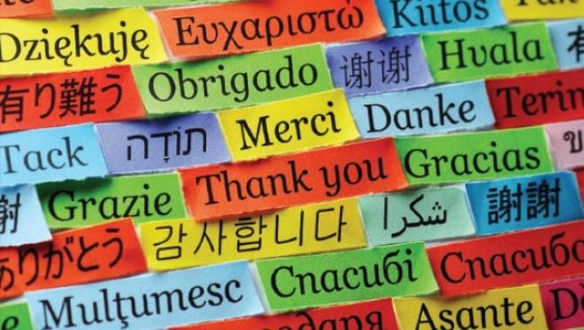 5. ''Yurtdışında eğitim çoğunlukla dil ana dalları içindir.''