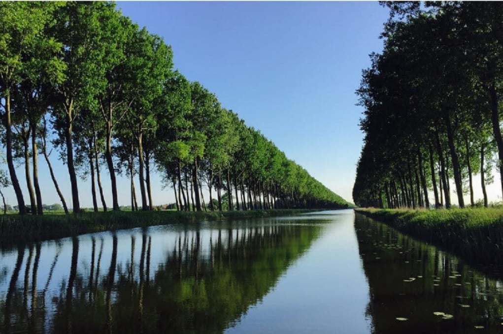 1. Her şeyden önce yeşili koruyor olmaları.