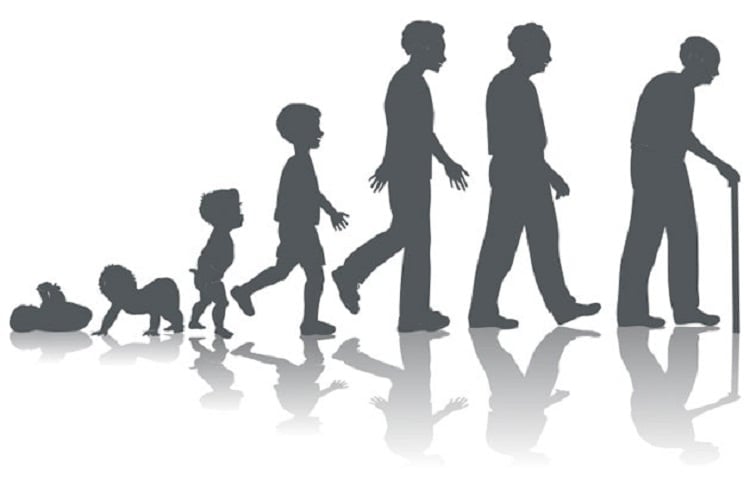 1. Hayatınızdaki tüm basamaklar için sizi destekler.