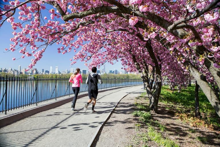 8. İnsanların aşırı spor tutkusu