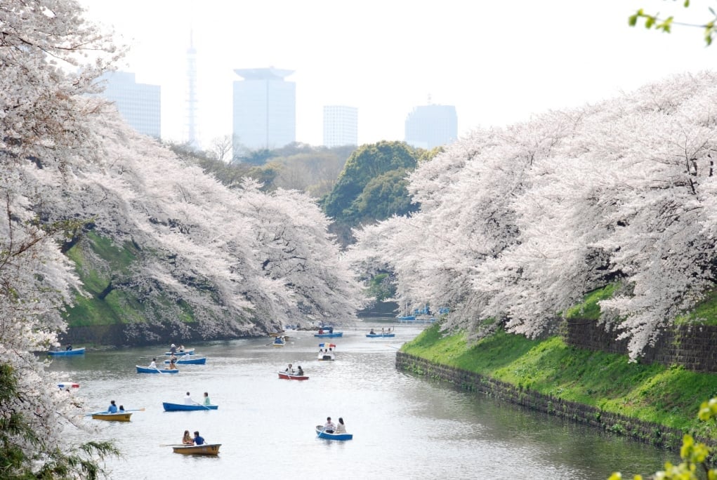 1. Ueno Park, Tokyo, Japonya