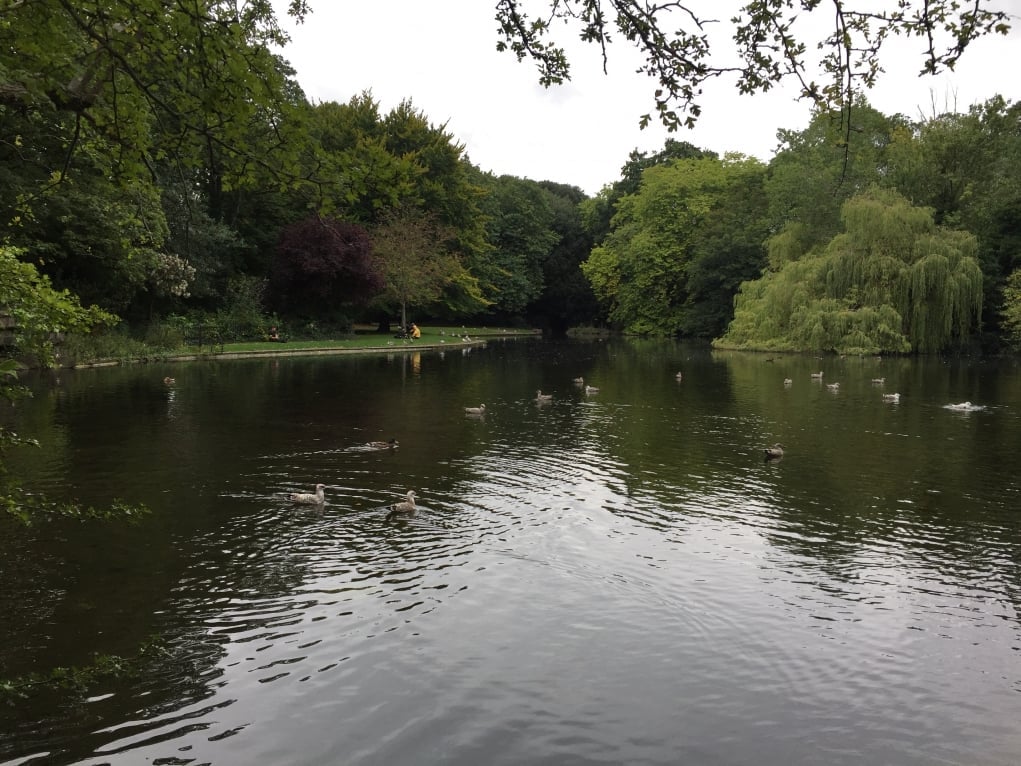 6. İrlanda'nın doğasına hayran olmamak elde değil.