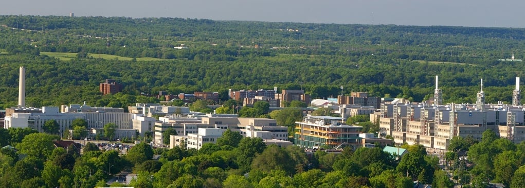 4. McMaster Üniversitesi