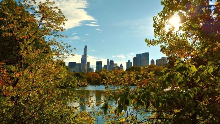 10. Central Park şüphesiz en sevdiğim yer oldu.