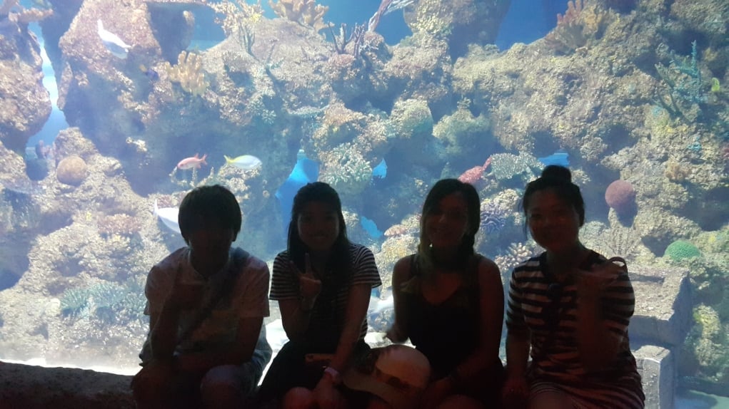 8. Malta’da ilk gezdiğim yer ve tek Türk benim!