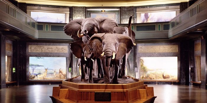 3. Müze ziyaretlerinde halk günlerini takip edin!