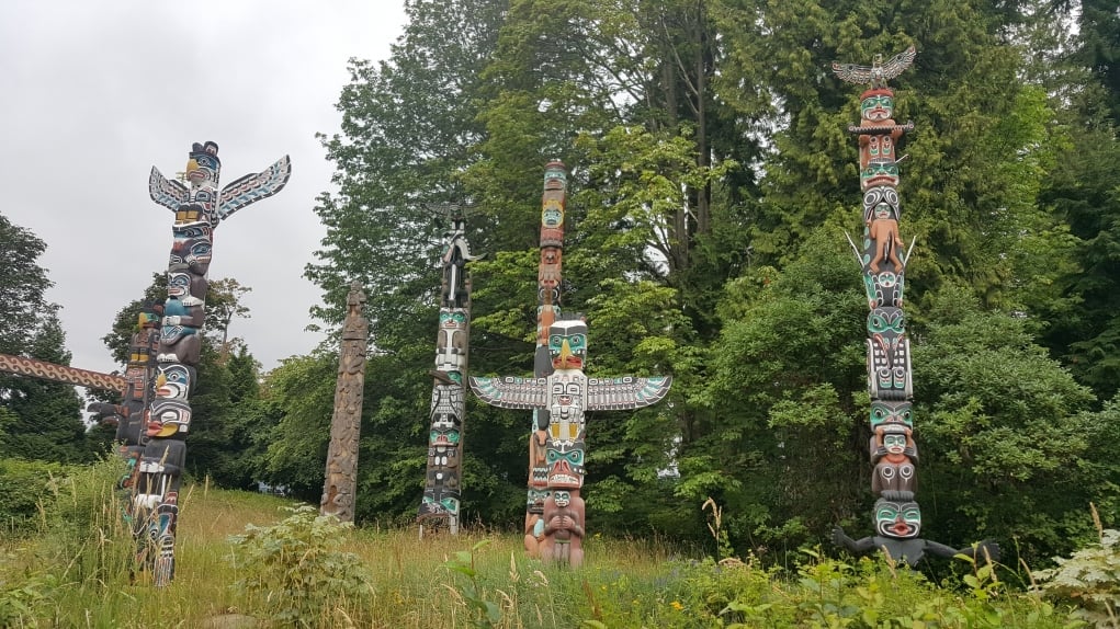 15. Her ay 1 kur görüyorsunuz. 1 kur 4 haftada tamamlanıyor.