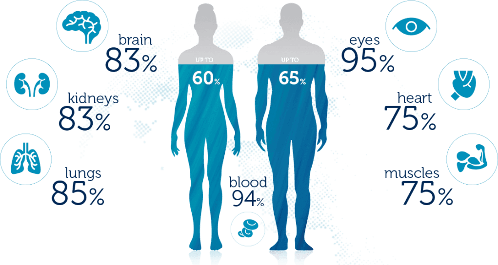 5. Suyla kendinize neler olabileceğini düşündünüz mü?