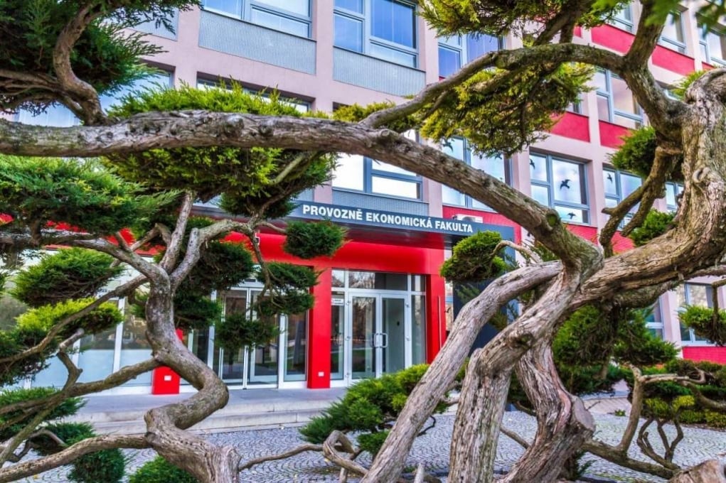 4. Üniversiteleri YÖK tarafından tanınmaktadır.