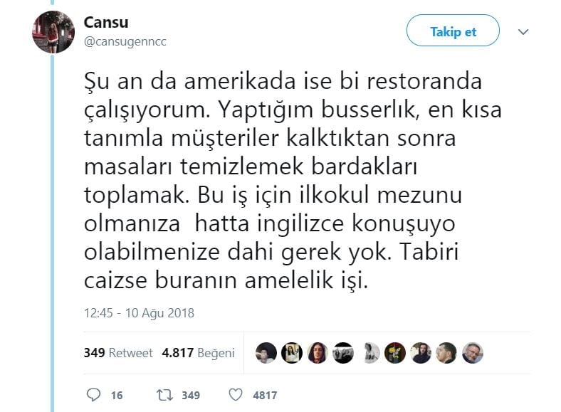 4. Yaptığı iş için hiçbir vasfa gerek yok!