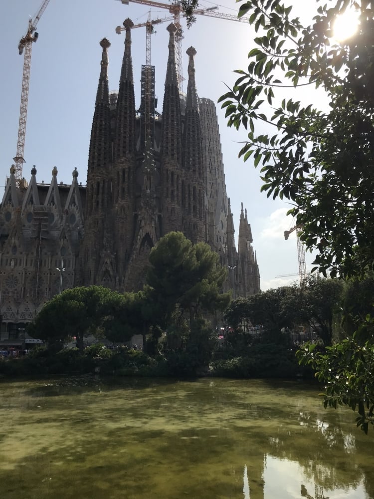 5. Arkadaş bulma, kaynaşma hakkında da birkaç şey...