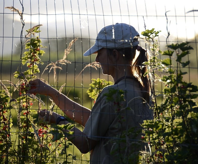 6. Çalışıp para kazanarak gezmeye devam edin.
