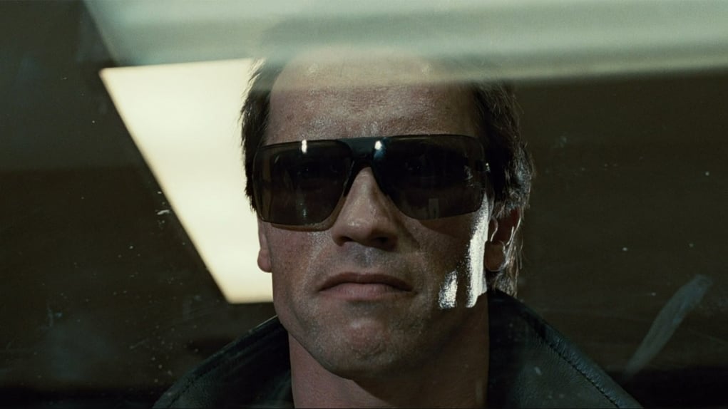 12. The Terminator