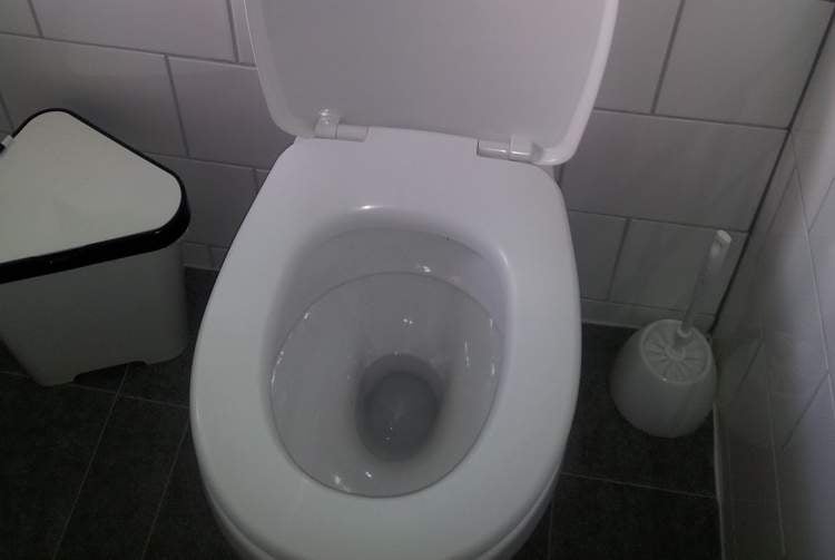 9. Taharet musluğuna alternatif çözüm bulmaya hazır olun.