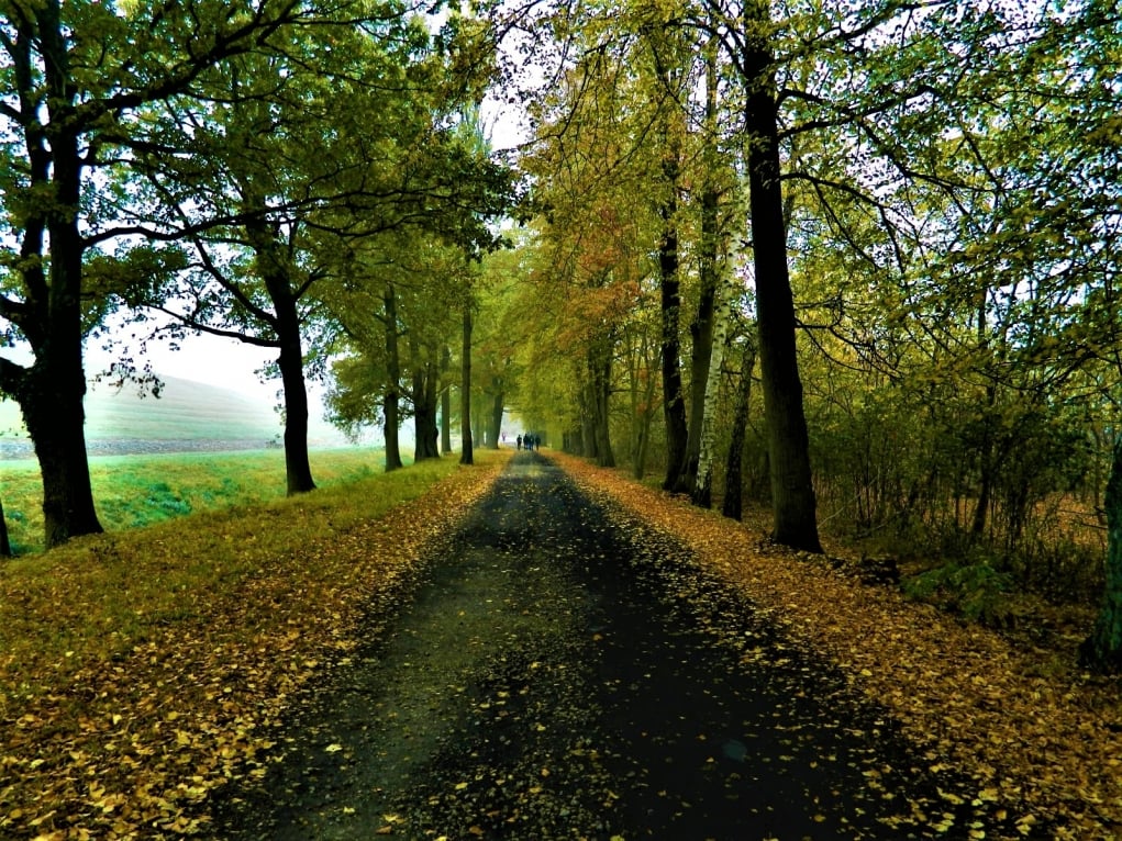 Şehir merkezine yaklaşık 30 km uzaklıktaki Turawa kasabasına gittik.