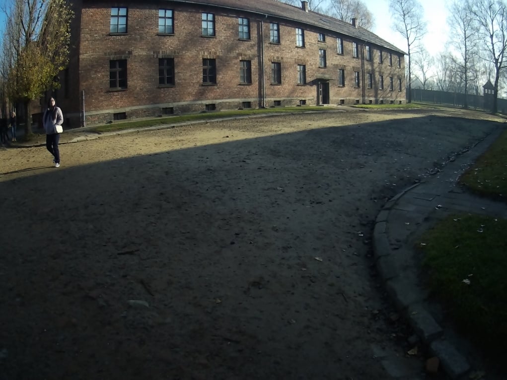 8. SS Subayları kimlerdi?